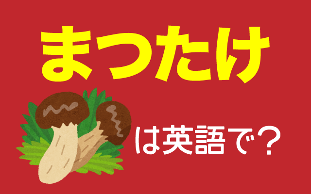 秋の高級食材「松茸（まつたけ）」は英語で何て言う？