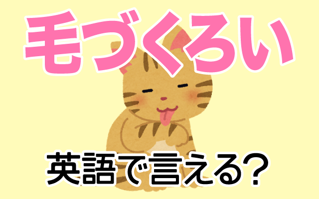 猫などの【毛づくろい】は英語で何て言う？