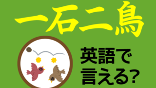 一石二鳥 は英語で何て言う 由来や発祥などもご紹介 英語の達人world