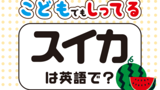 スイカ は英語で何て言う 英語の達人world