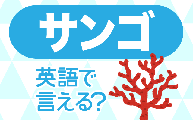 【サンゴ（珊瑚）】は英語で何て言う？