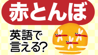 赤とんぼ は英語で何て言う 英語の達人world