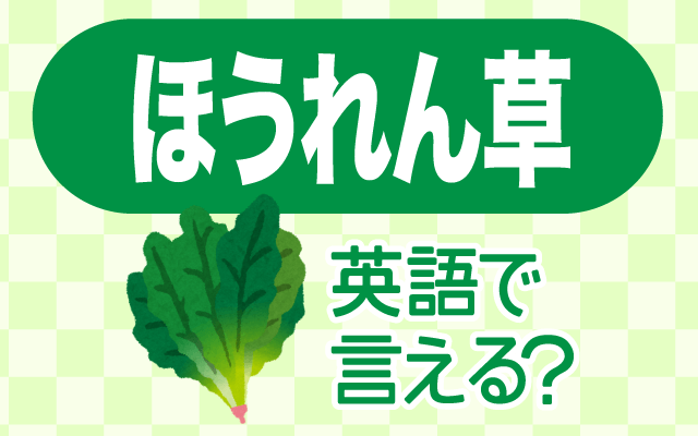 冬野菜【ほうれん草】は英語で何て言う？
