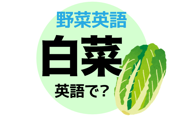 冬の葉野菜【白菜】は英語で何て言う？
