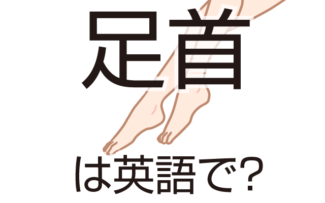 足の一部【足首】は英語で何て言う？
