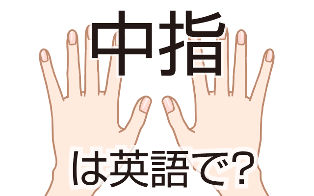真ん中の指【中指】は英語で何て言う？