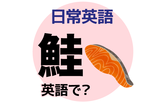 魚の【鮭】は英語で何て言う？