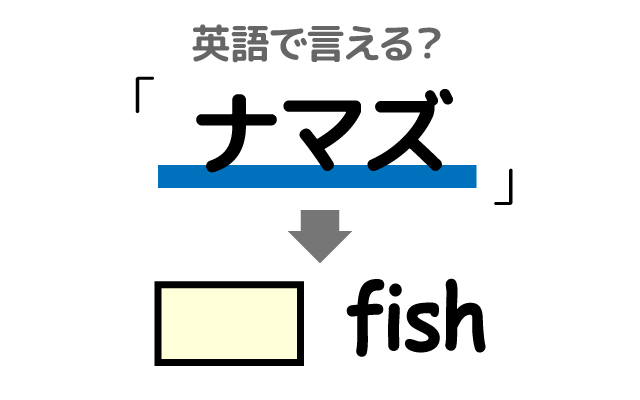 魚の【ナマズ】は英語で何て言う？