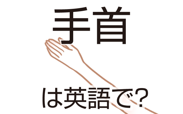 手と腕を繋ぐ【手首】は英語で何て言う？