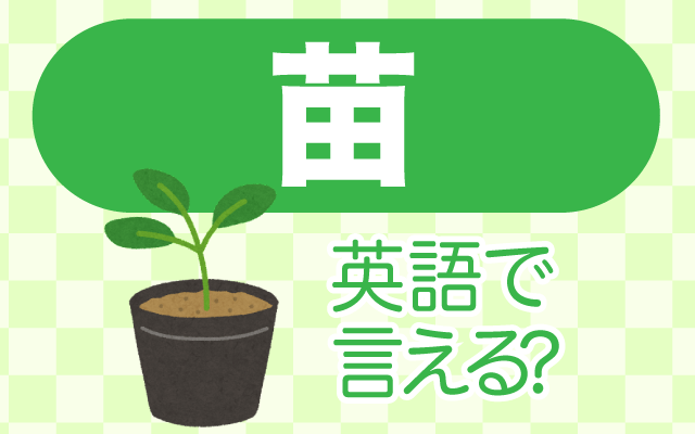 植物や野菜の【苗】は英語で何て言う？