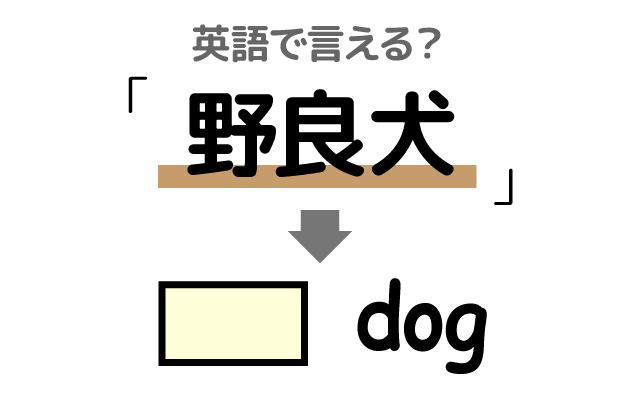 飼い主がいない【野良犬】は英語で何て言う？