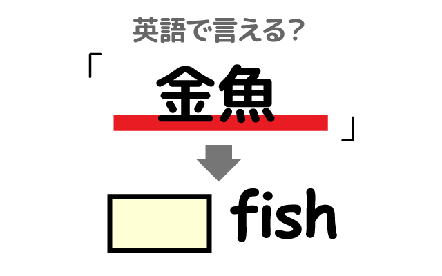 出目金などの【金魚】は英語で何て言う？
