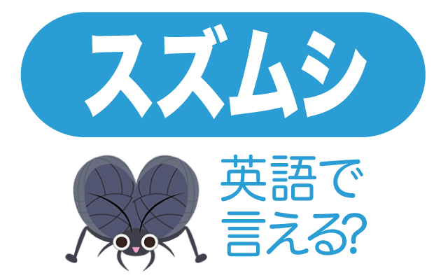 秋の昆虫【スズムシ(鈴虫)】は英語で何て言う？