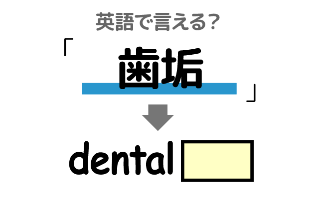 歯の【歯垢】は英語で何て言う？