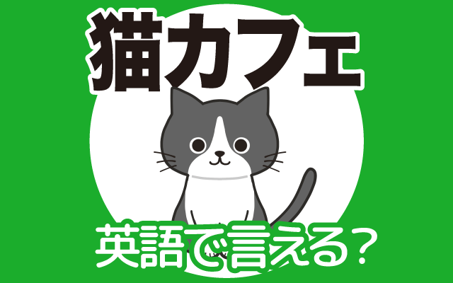 猫と触れ合う【猫カフェ】は英語で何て言う？