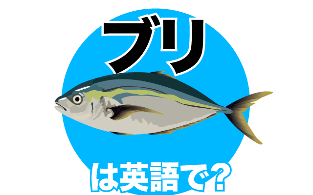 魚の【鰤(ブリ)】は英語で何て言う？
