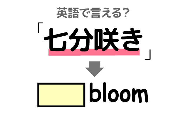 桜の開花【七分咲き】は英語で何て言う？