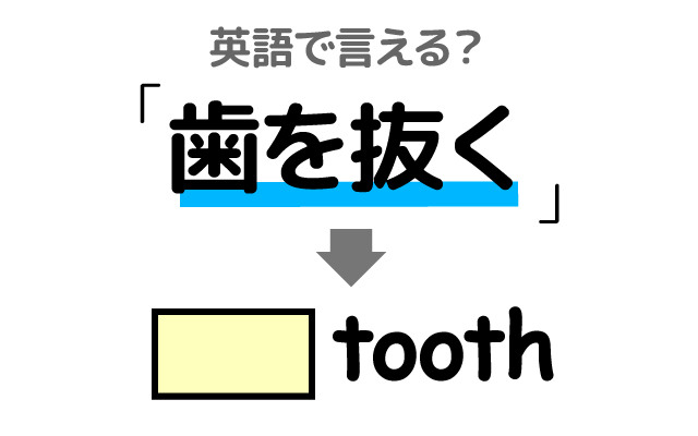 歯科医で【歯を抜く】は英語で何て言う？